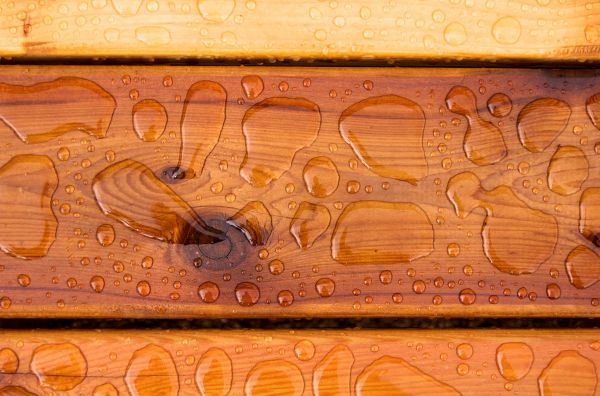 Grow your Pool Deck Maintenance business